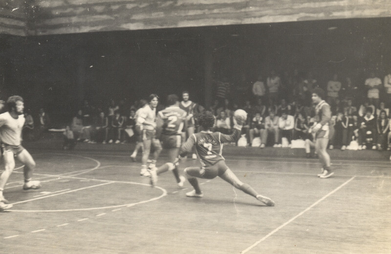 Jogo Handebol