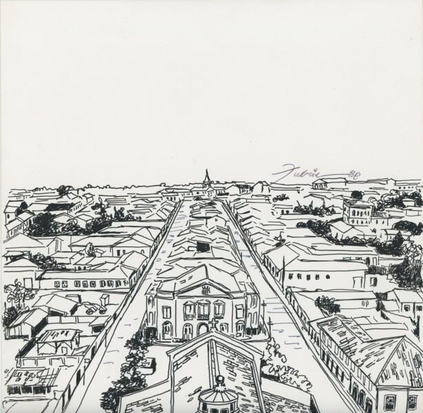 vista-parcial-de-campinas