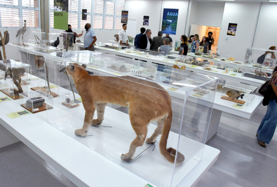 Museu de Diversidade Biológica da Unicamp