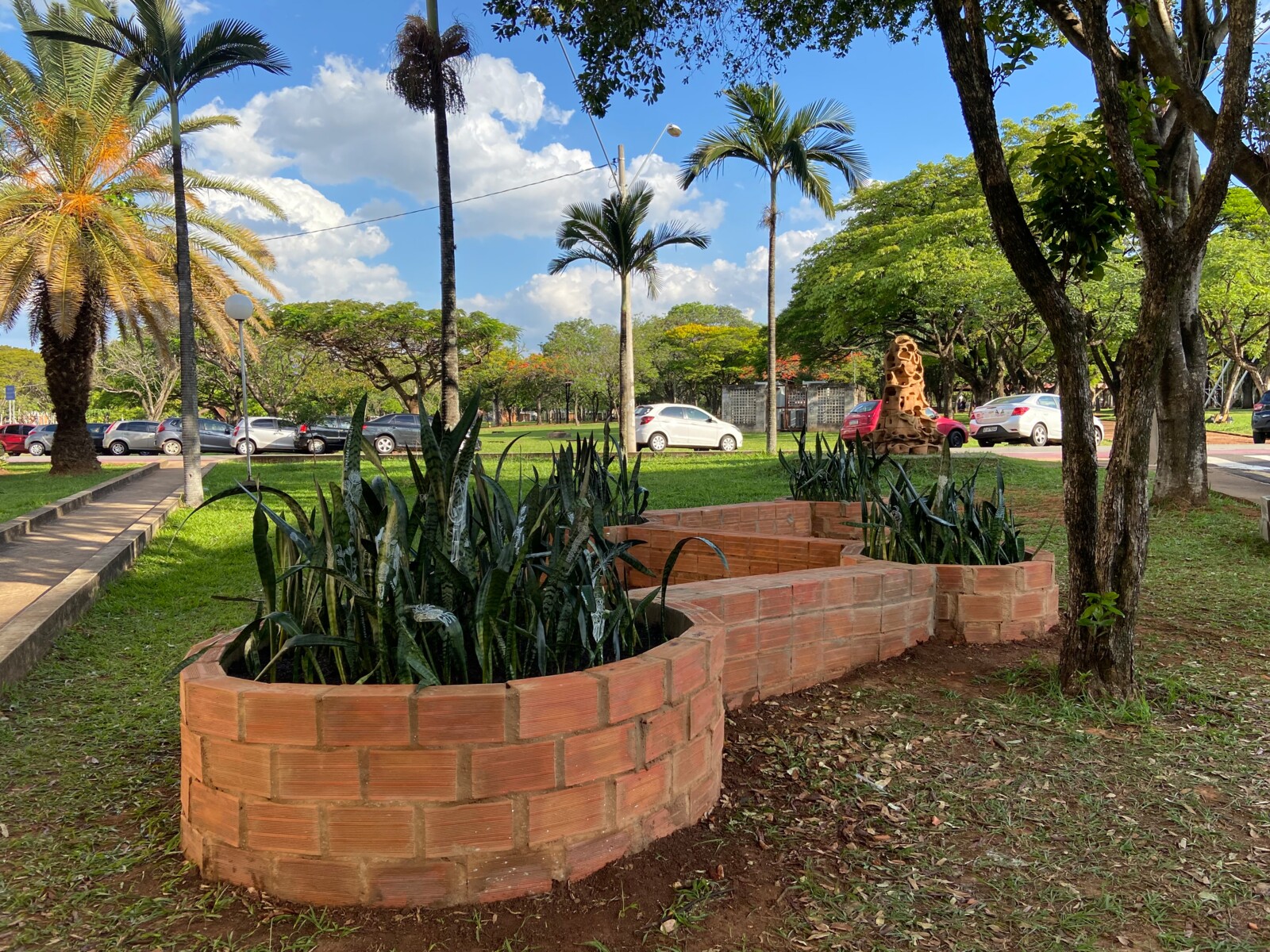 Ilha_de_Plantas SylviaFuregatti 2022.jpg